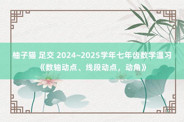 柚子猫 足交 2024~2025学年七年齿数学温习《数轴动点、线段动点，动角》