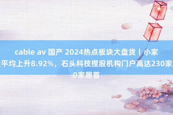 cable av 国产 2024热点板块大盘货丨小家电股平均上升8.92%，石头科技捏股机构门户高达230家居首