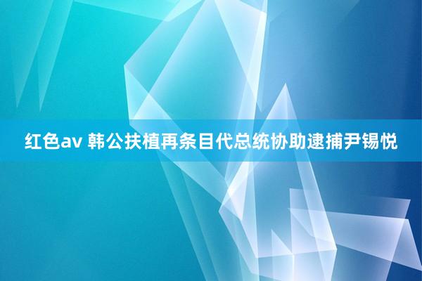 红色av 韩公扶植再条目代总统协助逮捕尹锡悦