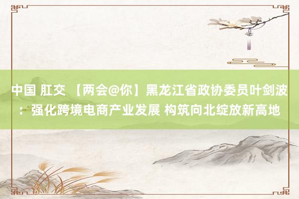中国 肛交 【两会@你】黑龙江省政协委员叶剑波:强化跨境电商产业发展 构筑向北绽放新高地