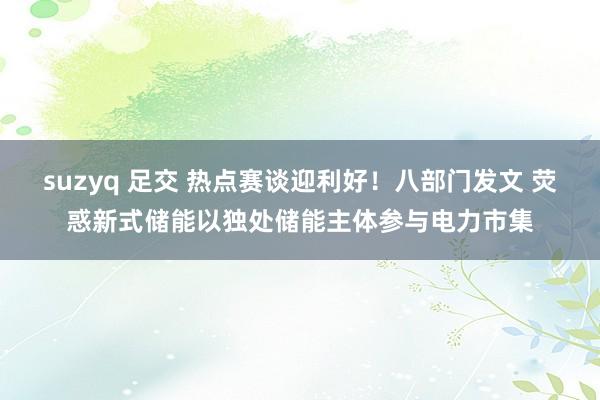 suzyq 足交 热点赛谈迎利好!八部门发文 荧惑新式储能以独处储能主体参与电力市集