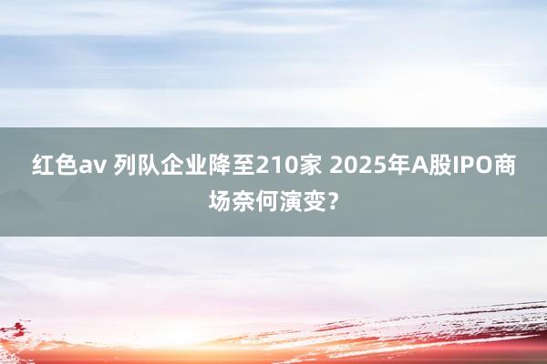 红色av 列队企业降至210家 2025年A股IPO商场奈何演变?