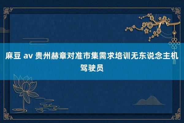 麻豆 av 贵州赫章对准市集需求培训无东说念主机驾驶员