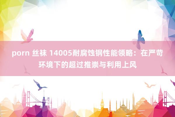 porn 丝袜 14005耐腐蚀钢性能领略:在严苛环境下的超过推崇与利用上风