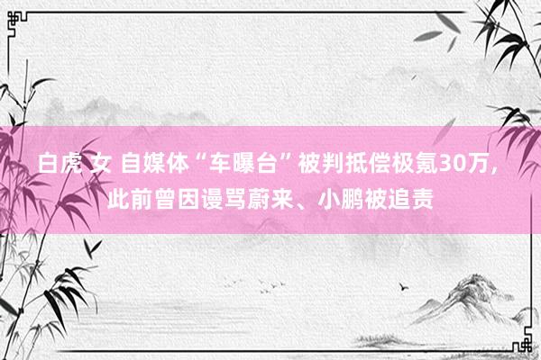 白虎 女 自媒体“车曝台”被判抵偿极氪30万, 此前曾因谩骂蔚来、小鹏被追责