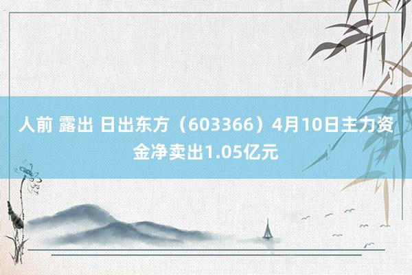 人前 露出 日出东方(603366)4月10日主力资金净卖出1.05亿元