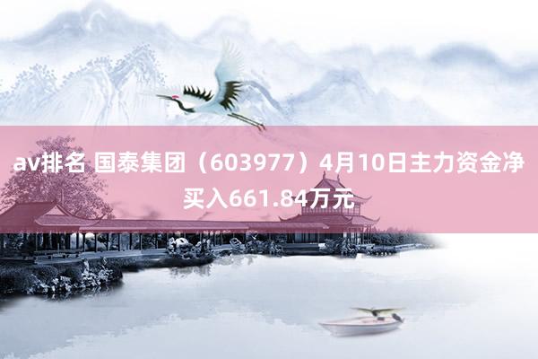 av排名 国泰集团(603977)4月10日主力资金净买入661.84万元