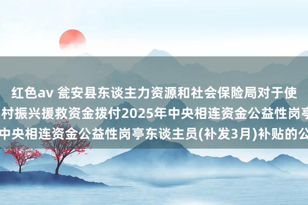 红色av 瓮安县东谈主力资源和社会保险局对于使用中央财政相连鼓吹乡村振兴援救资金拨付2025年中央相连资金公益性岗亭东谈主员(补发3月)补贴的公示