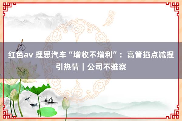 红色av 理思汽车“增收不增利”:高管掐点减捏引热情|公司不雅察