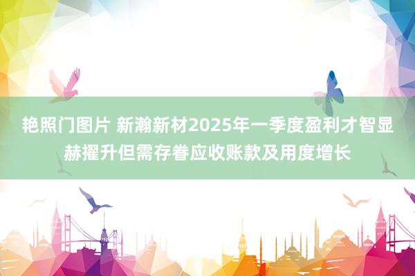 艳照门图片 新瀚新材2025年一季度盈利才智显赫擢升但需存眷应收账款及用度增长