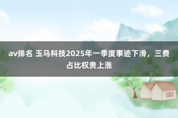 av排名 玉马科技2025年一季度事迹下滑，三费占比权贵上涨