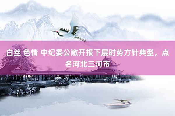 白丝 色情 中纪委公敞开报下层时势方针典型，点名河北三河市