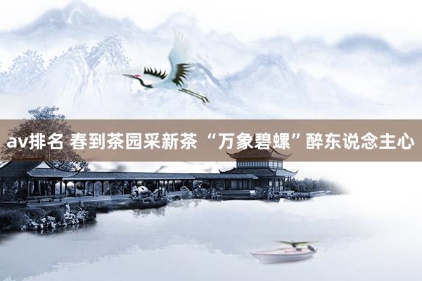 av排名 春到茶园采新茶 “万象碧螺”醉东说念主心