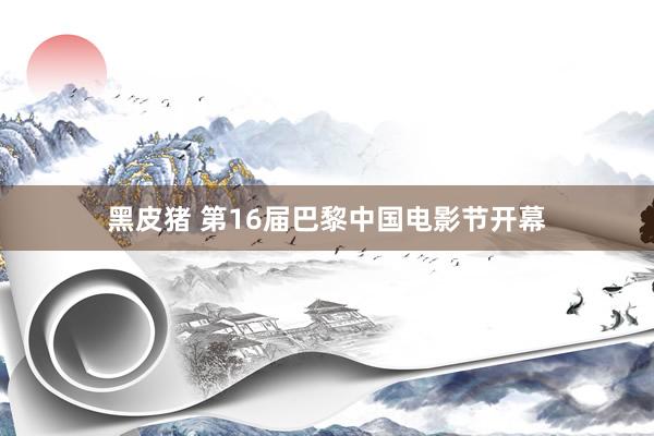 黑皮猪 第16届巴黎中国电影节开幕