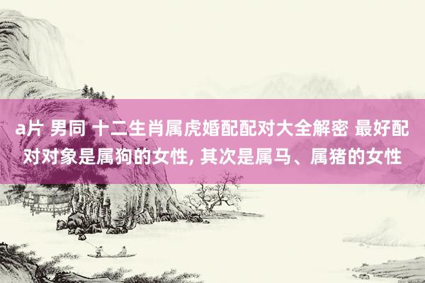a片 男同 十二生肖属虎婚配配对大全解密 最好配对对象是属狗的女性, 其次是属马、属猪的女性